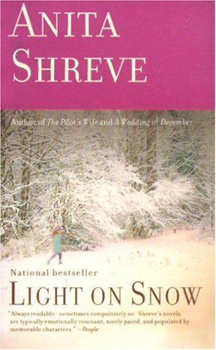 Book cover for Light on Snow