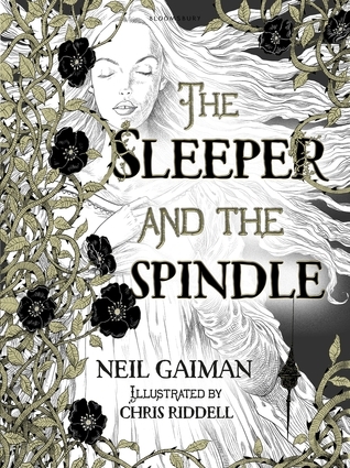 Book cover for The Sleeper and the Spindle