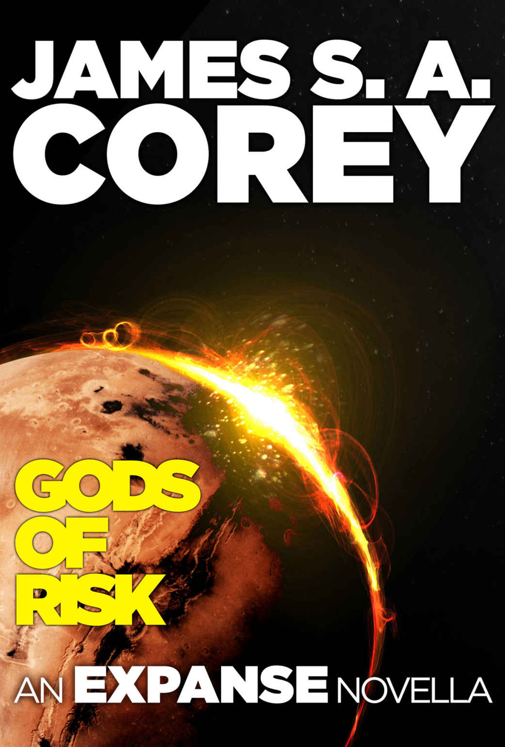 Book cover for Gods of Risk (The Expanse, #2.5)