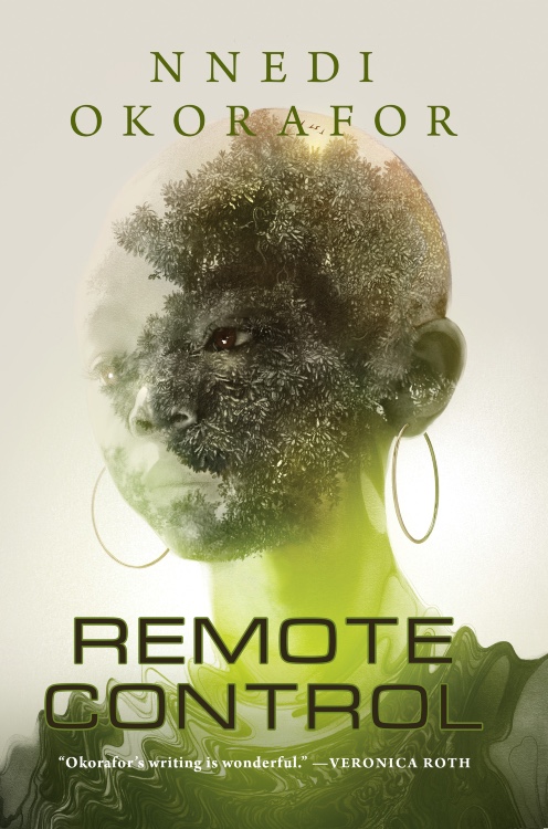 Book cover for Remote Control
