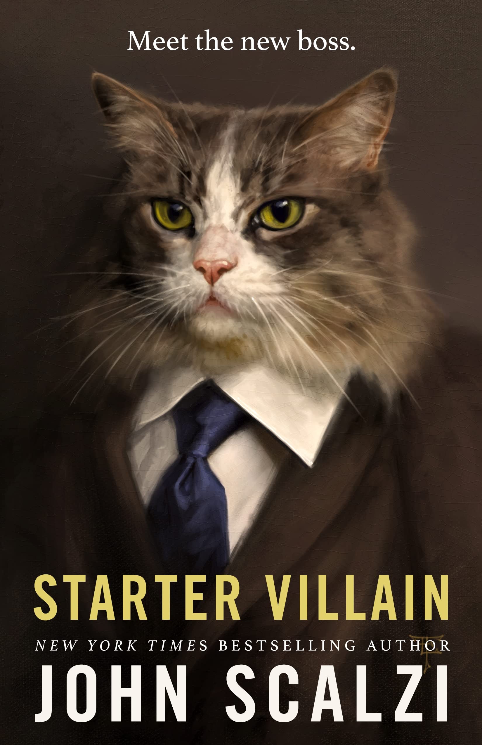 Book cover for Starter Villain