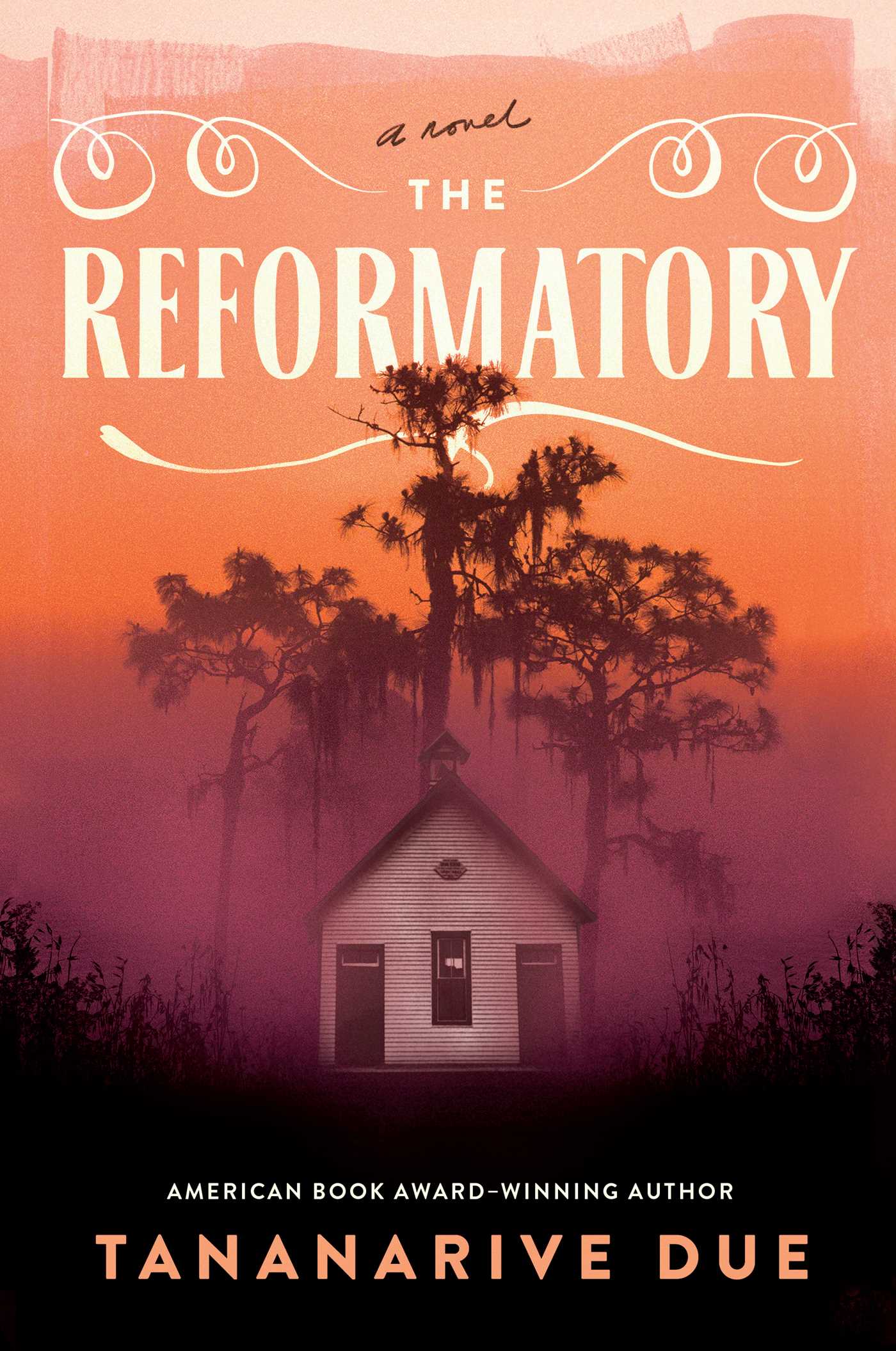 Book cover for The Reformatory