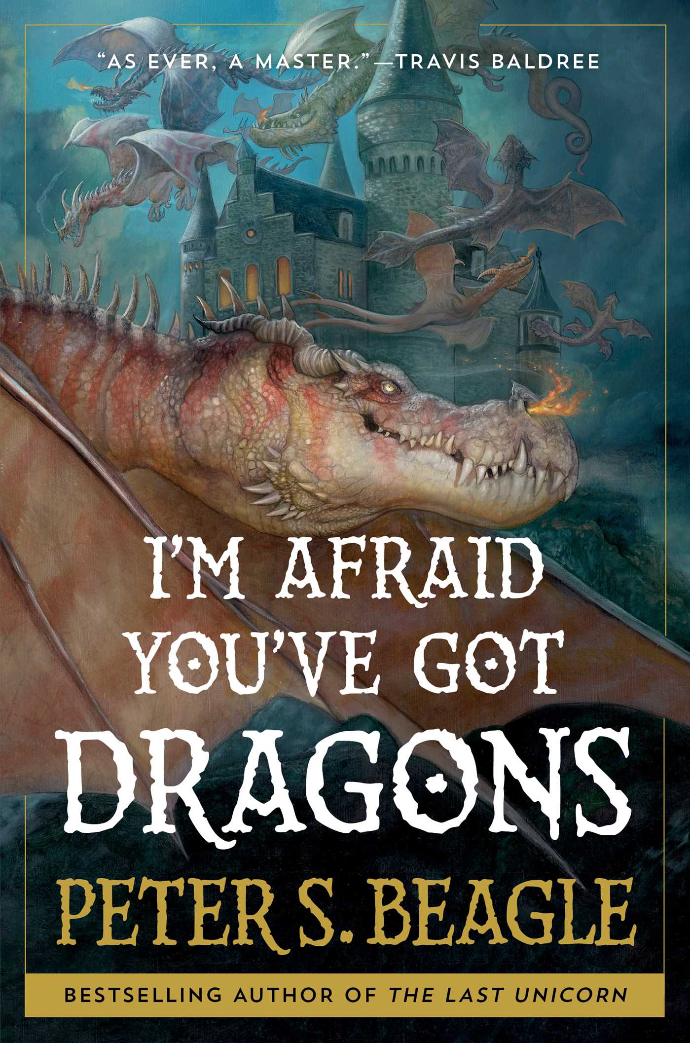 Book cover for I'm Afraid You've Got Dragons