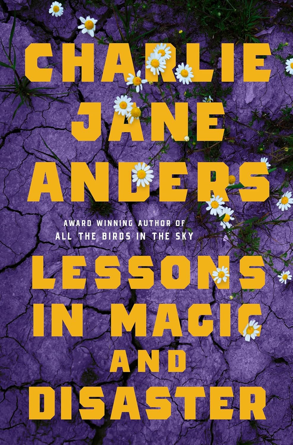 Book cover for Lessons in Magic and Disaster